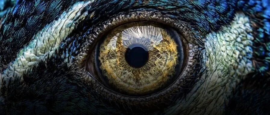 كلاينغ AI تطلق أول فيديوهات 4K أصلية في الصناعة